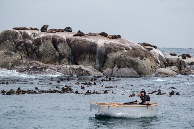 Private Cape Point / Peninsula Tour - Boulders Beach and the African Penguins