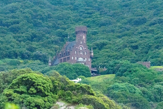 Private Cape Point / Peninsula Tour - Chapman’s Peak Drive: The Road Is the Attraction