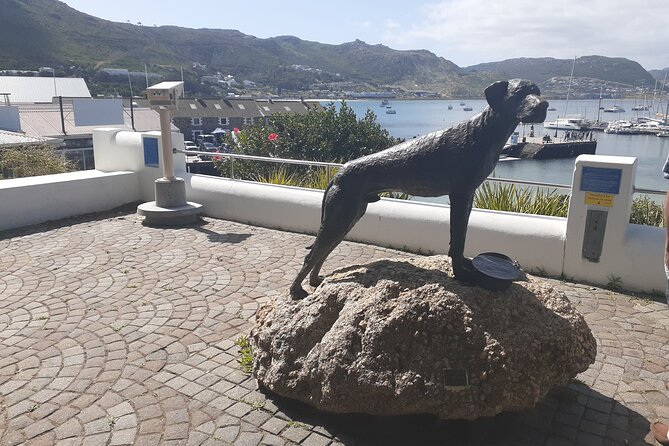Private Cape Point / Peninsula Tour - Cape Point Nature Reserve: Cliffs, Wildlife, and Wind