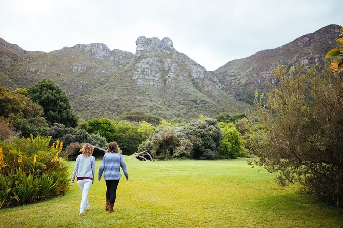 Private Cape Town City Tour table Mountain with wine tasting - Zeitz MOCAA: contemporary art at the Waterfront