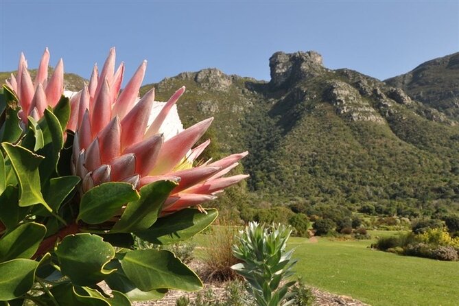 Private Cape Town City Tour table Mountain with wine tasting - Maiden’s Cove and the Atlantic coast