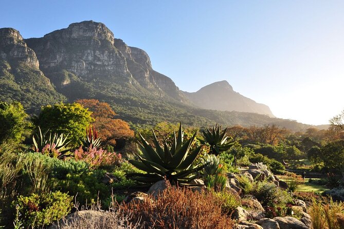 Private Cape Town City Tour table Mountain with wine tasting - World of Birds in Hout Bay