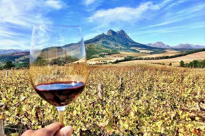 Private Cape Town City Tour table Mountain with wine tasting - Table Mountain: the day’s headline view