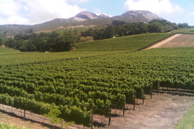 Private Cape Winelands from Stellenbosch OR Franschhoek OR Paarl - Stellenbosch: old streets, old buildings, and five more wines