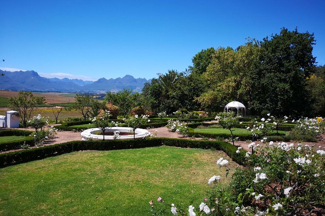 Private Cape Winelands from Stellenbosch OR Franschhoek OR Paarl - Fairview Wine and Cheese: the most relaxed optional stop