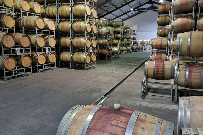 Private Cape Winelands from Stellenbosch OR Franschhoek OR Paarl - Paarl: a shorter estate visit with room for contrast
