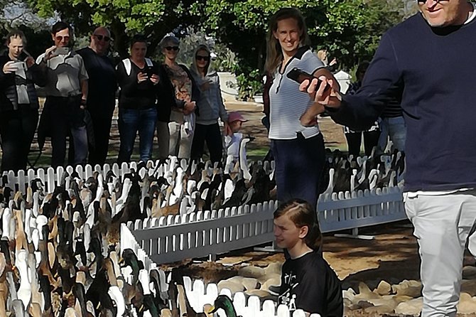 Private Cape Winelands Guided Full Day Tour from Cape Town - Franschhoek brings village streets and mountain views