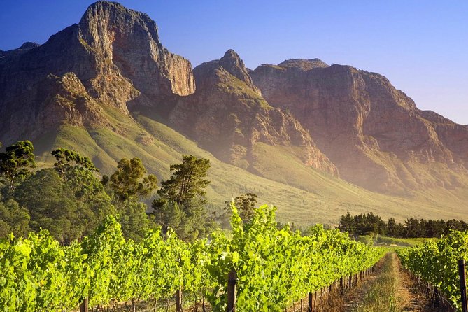 Private Cape Winelands Guided Full Day Tour from Cape Town - La Motte adds history and polished wine-country style