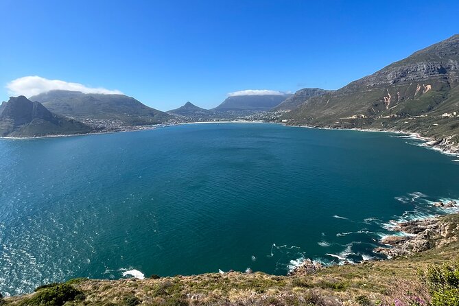 Private/Customised Cape Peninsula and Penguin Colony Tour - Ru-an’s guiding style and the private atmosphere
