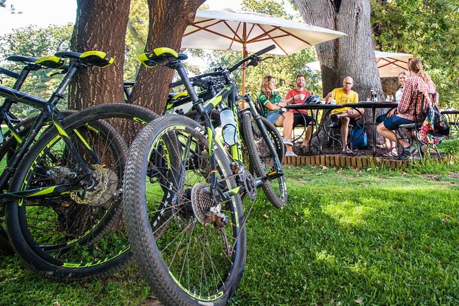 Private Cycling Tour of Constantia Winelands - Two Tastings, Not a Full Lunch-and-Wine Day
