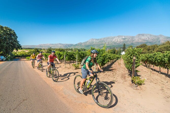 Private Cycling Tour of Constantia Winelands - Starting with Hotel Pickup and a Short Transfer