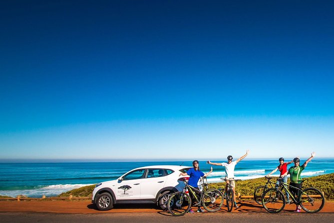 Private Cycling Tour of The Cape Peninsula from Cape Town - The Old Shipwreck trail and the active choice