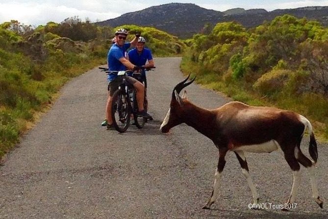 Private Cycling Tour to Cape Point from Cape Town - Why this Cape Peninsula ride works well
