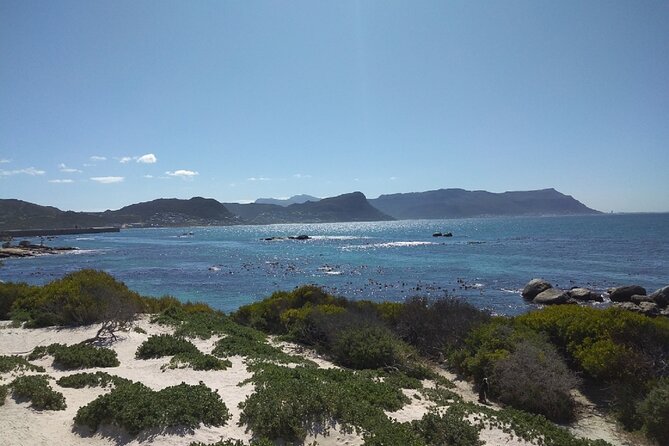 Private Day tour of the Cape. Our reviews show why people book! - Timing, comfort, and weather matter