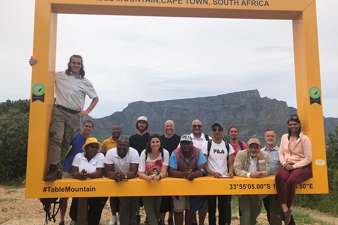 Private Day tour of the Cape. Our reviews show why people book! - Camps Bay begins the coastal story