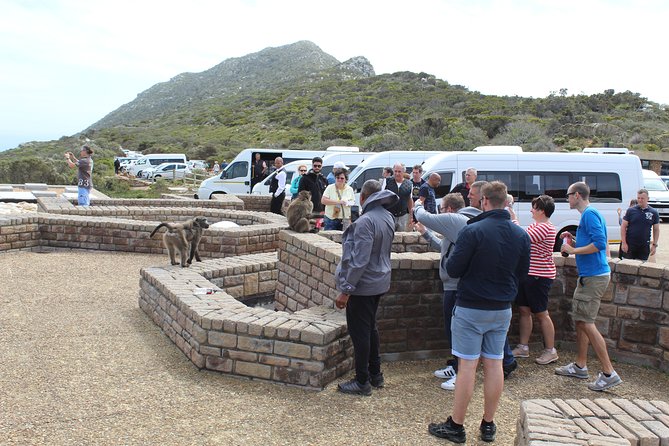 Private Day Tour to Cape of Good Hope Penguins Inc Entry Tickets from Cape Town - Muizenberg and the Cape’s cultural side