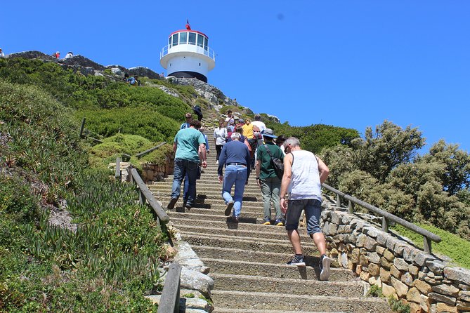 Private Day Tour to Cape of Good Hope Penguins Inc Entry Tickets from Cape Town - Hout Bay and Chapman’s Peak: the road is the attraction