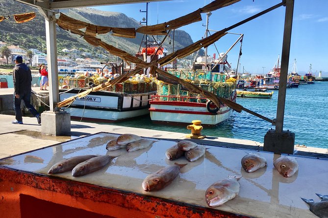 Private Day Tour to Cape Point , Penguins, Wine or Beer Tasting - Hout Bay and the road toward the Cape