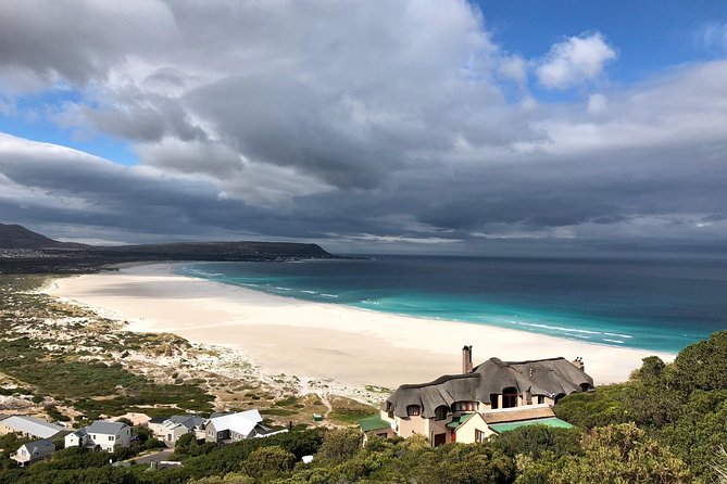 Private Day Tour to Cape Point , Penguins, Wine or Beer Tasting - Maidens Cove, Camps Bay, Clifton, and Llandudno