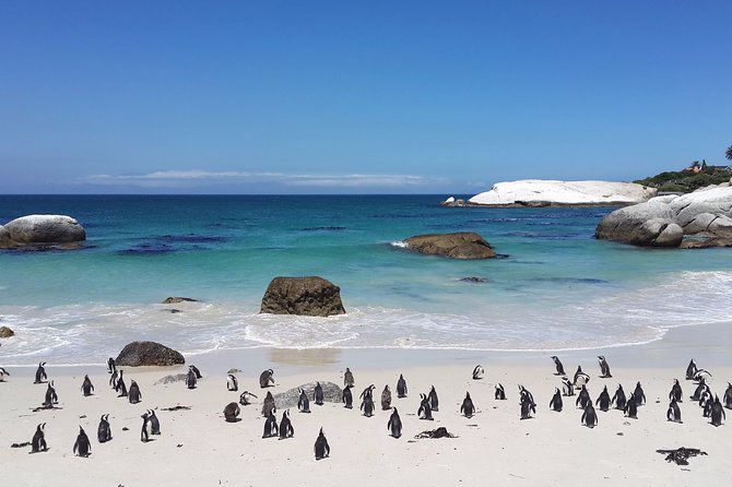 Private day tour to the Cape of Good Hope - Cape Point combines a lighthouse, a ride, and a sign
