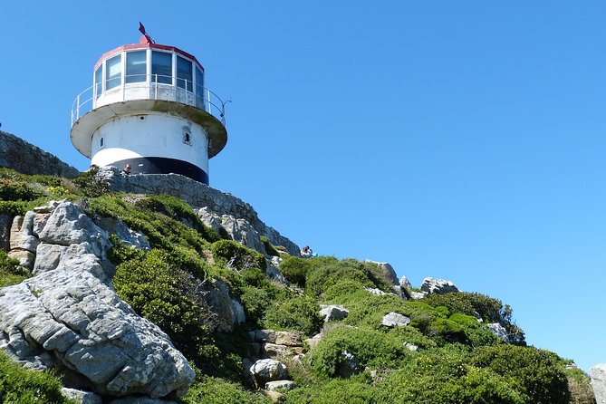 Private day tour to the Cape of Good Hope - Signal Hill gives you the first Cape Town view