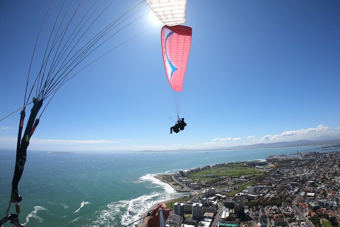 Private Exclusive Tandem Paragliding Experience in Cape Town - Choosing between Signal Hill and Lions Head