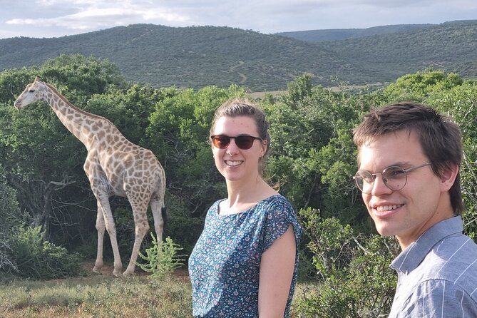 Private Full-Day Addo Elephant Park & Giraffe Walk - Five details that shape your day