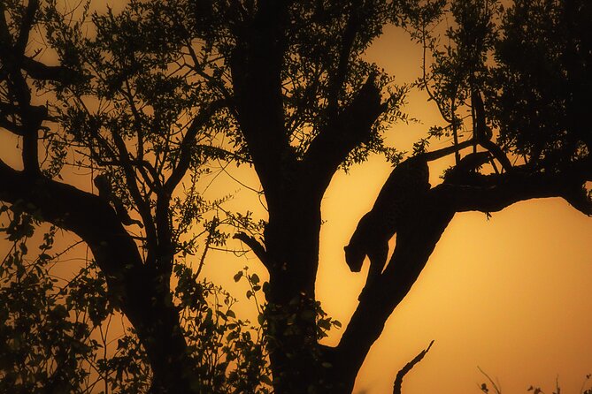 Private Full Day Safari (10 hours) in Kruger National Park - Why a private Kruger day changes the experience