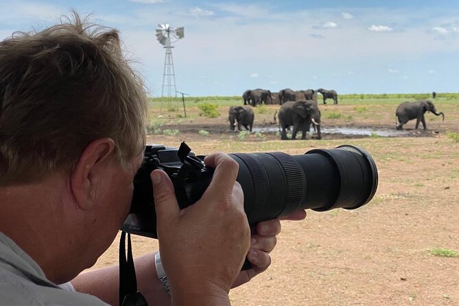 Private Full Day Safari (10 hours) in Kruger National Park - What the guide can add to the day