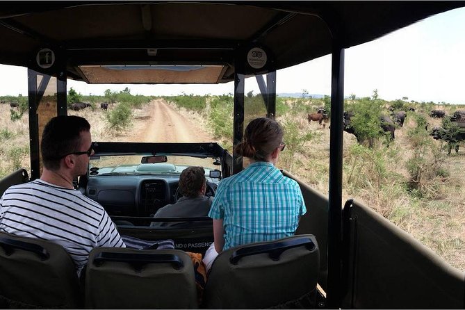 Private Full Day Safari l Kruger National Park from Hazyview or Skukuza - Pickup from Hazyview or Skukuza Main Camp