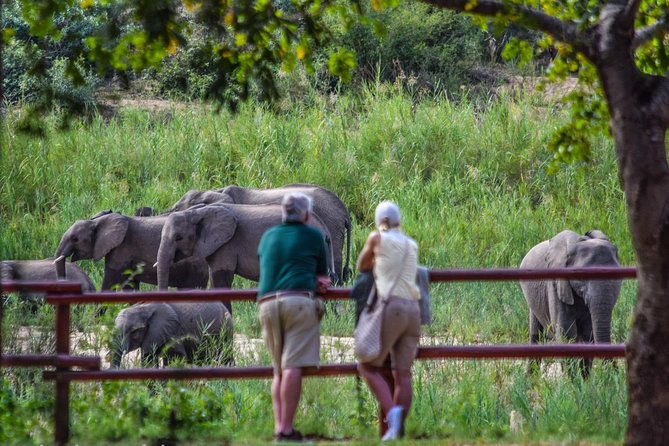 Private Full Day Safari l Kruger National Park from Hazyview or Skukuza - The Parks Shop stop and your one-hour break