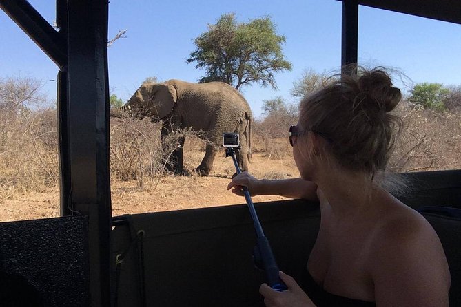 Private Full Day Safari l Kruger National Park from Hazyview or Skukuza - Who will enjoy this Kruger safari most?