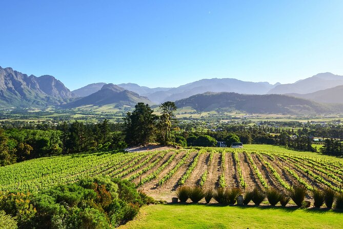 Private Full Day Stellenbosch Wine Tour - Why a private Stellenbosch day works well