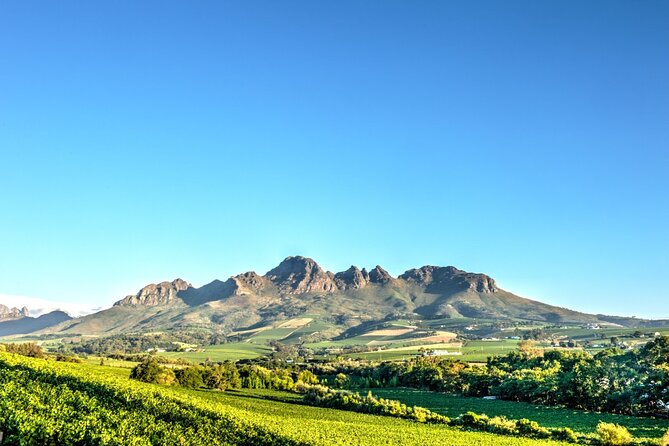 Private Full Day Stellenbosch Wine Tour - Stellenbosch town, Dorp Street, and De Braak