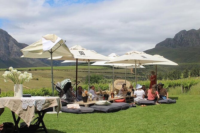 Private Full Day Stellenbosch Wine Tour - Rust en Vrede and the cellar lesson