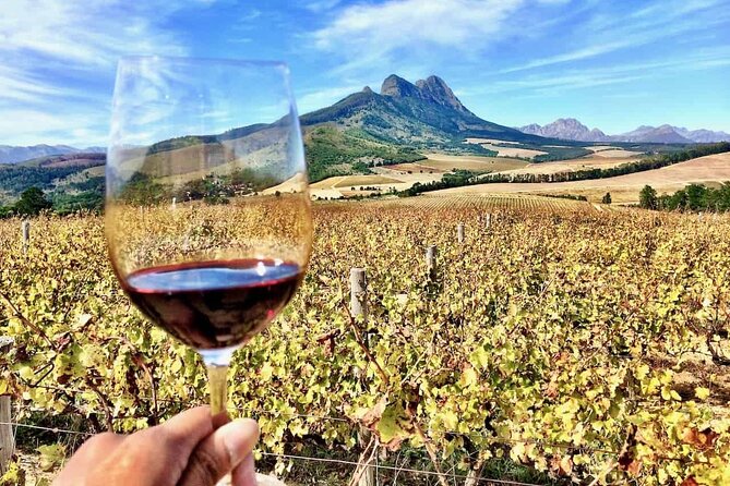 Private Full Day Stellenbosch Wine Tour - Delaire Graff: polished design and mountain views
