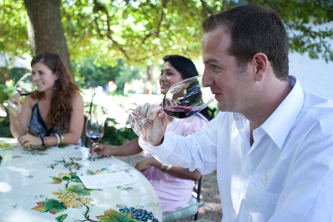Private Full Day Stellenbosch Wine Tour with Pick Up and Drop Off - Who will enjoy this private Stellenbosch day