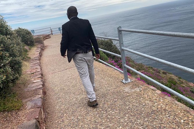 Private Full Day Tour To Cape Point, Penguins With Table Mountain. - Boulders Beach: the most personal wildlife stop