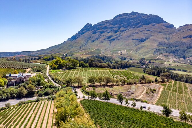 Private Full Day Wine Tour in Cape Town - What this private wine day is really designed to do