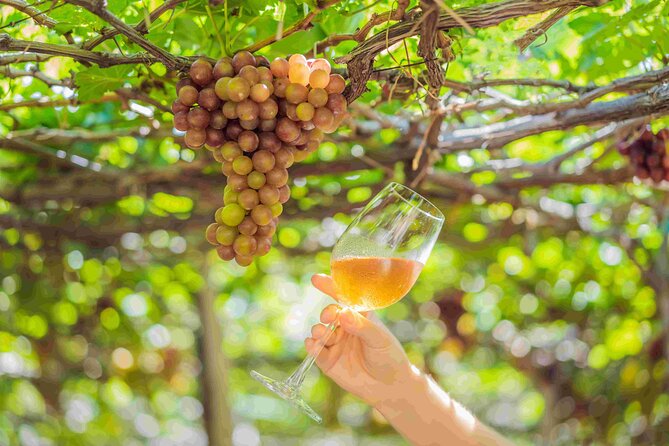 Private Full Day Wine Tour in Cape Town - Lunch and family hospitality at Delheim