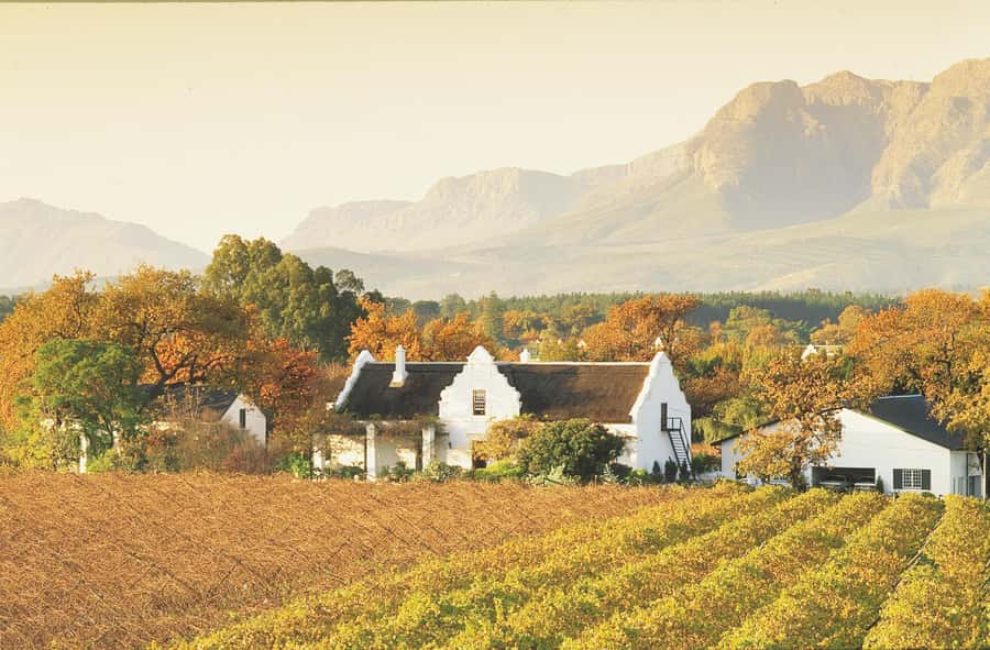 Private Full-Day Winelands Tour in Stellenbosch - Stellenbosch: Town, Cellar, Cheese, and Wine