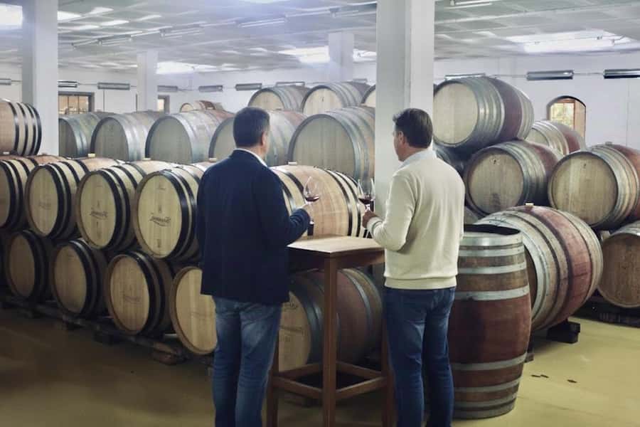 Private Full-Day Winelands Tour in Stellenbosch - Timing, Transport, and the Real Cost