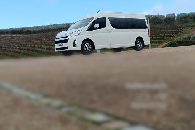 Private Group 4-13 passengers Cape Town Airport Transfers - Why a private minivan makes sense in Cape Town