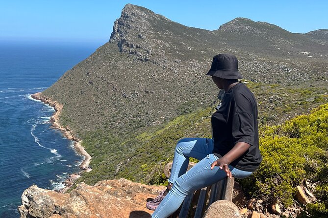 Private Guided Tour in Cape of Good Hope and Table Mountain - Why this private Cape Peninsula day works well