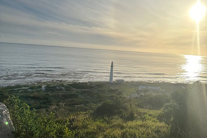 Private Guided Tour in Cape of Good Hope and Table Mountain - Chapman’s Peak turns the drive into an attraction