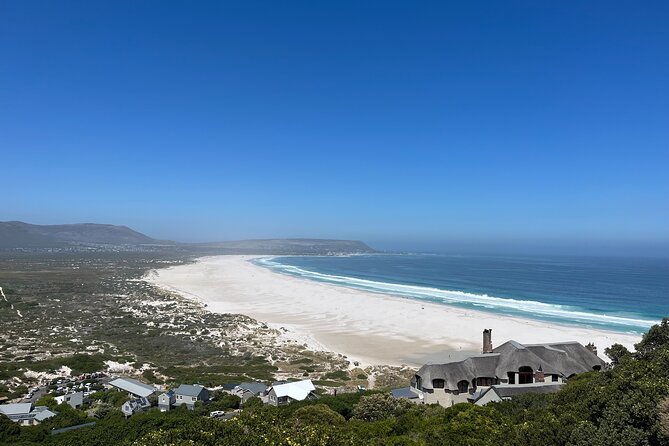Private Guided Tour in Cape of Good Hope and Table Mountain - Boulders Beach is the best wildlife stop