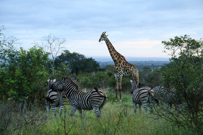 Private Kruger Park Safari and Panorama Route - What the accommodation and meals mean for your budget