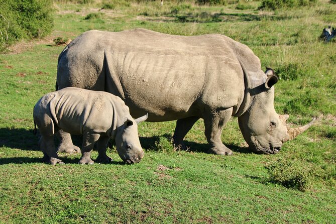 Private Kruger Park Safari and Panorama Route - Day 3: Gods Window, Blyde River Canyon, and Berlin Waterfall