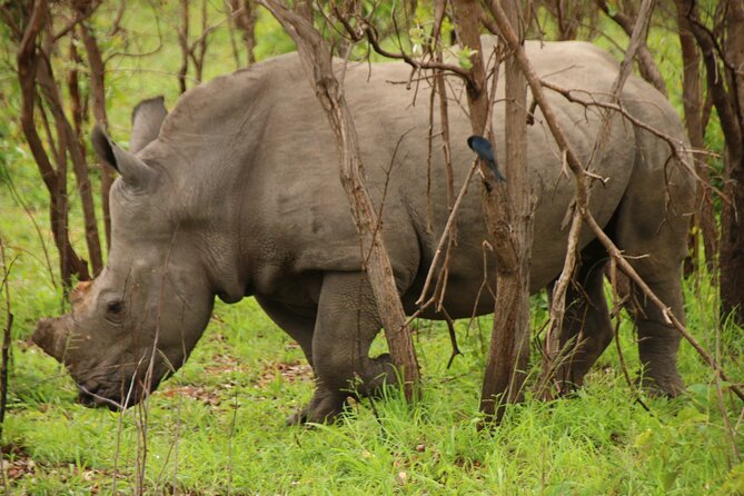 Private Kruger Park Safari and Panorama Route - Practical details before you book
