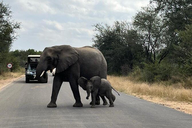 Private Kruger Park Safari and Panorama Route - The long road from Johannesburg to Kruger